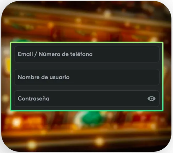 Introducción de datos en los campos de registro