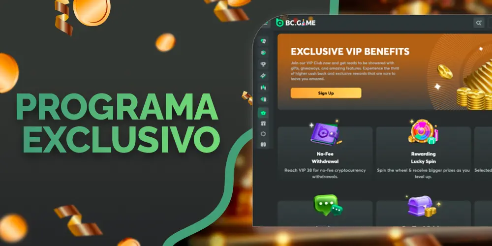 Programa VIP con niveles